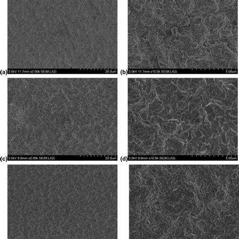 Sem Images Showing Typical Surface Microstructures Of The Lmd Processed