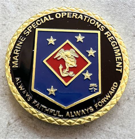 Us Marine Corps Special Operations Regiment Challenge Coin With Velvet