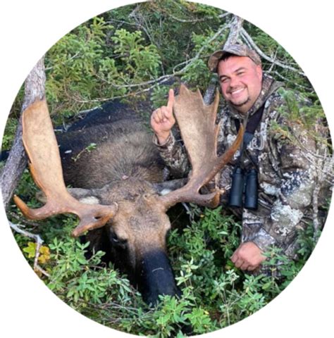 Home Caribou Cove Outfitters Big Game Hunting In Newfoundland