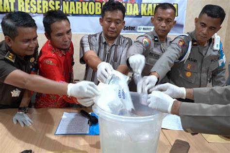 Ditresnarkoba Polda Kaltara Musnahkan Kg Sabu Antara News