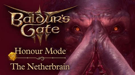 Baldur S Gate 3 The Netherbrain Honour Mode Patch 6 YouTube