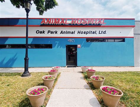 Oak Park Vet Office serves Oak Park, Illinois and surrounding cities ...