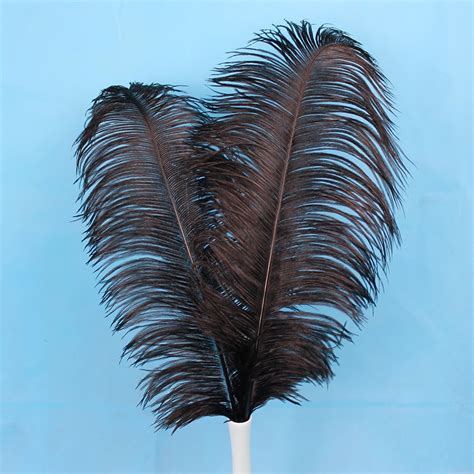 Black Feather 50pcs Ostrich Feather 16 18inches40 45cm Long Feathers