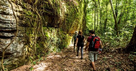 Von Siem Reap Aus Phnom Kulen National Park Trekking Tour GetYourGuide