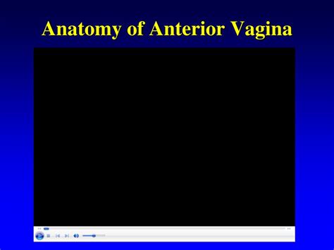 PPT Surgical Repair Of Anterior Vaginal Wall Prolapse When Why