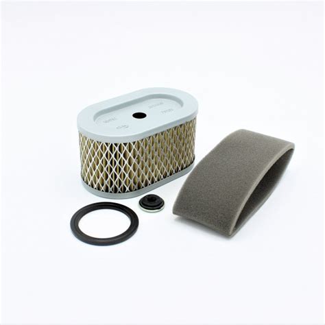 Briggs And Stratton Air Filter Cartridge And Pre Filter 797033