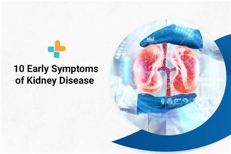 10 Early Symptoms of Kidney Disease | by Ayu Health Hospitals | Medium