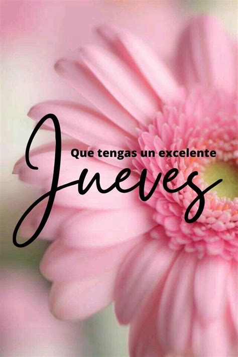 Pin By Lourdes On Coloreando Tu Semana Good Morning Messages Good