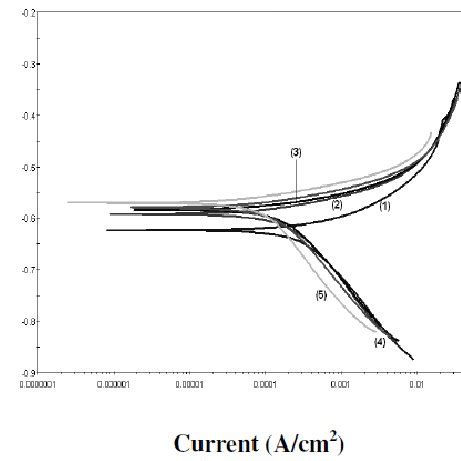 Potentiodynamic Polarization Curves Of Mild Steel In 0 1 M HCl In