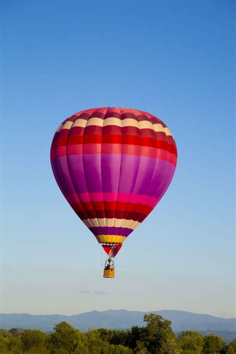 Free Images Light Sky Plastic Flower Hot Air Balloon Fly