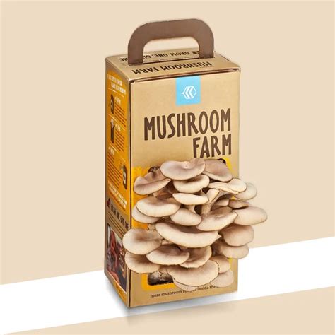 Mushroom Boxes Mushroom Growing Kit Boxes Packaging Bee