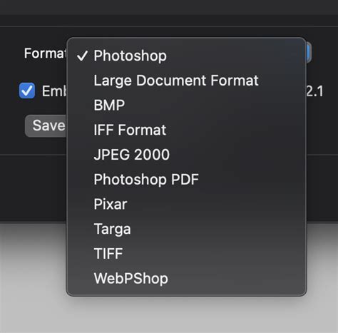 Photoshop Why Do File Format Options In The Save As Menu Differ From