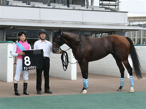 【川崎・大師オープン】地方移籍初戦のデュードヴァンは2着 ギャルダルがv 競馬ニュース Netkeiba