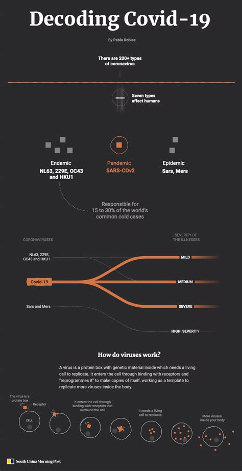 Coronaviruses: From Common Colds to a Pandemic • History Infographics