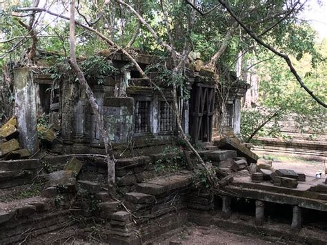 Angkor Guide Sam Siem Reap 2022 Qué Saber Antes De Ir Lo Más Comentado Por La Gente