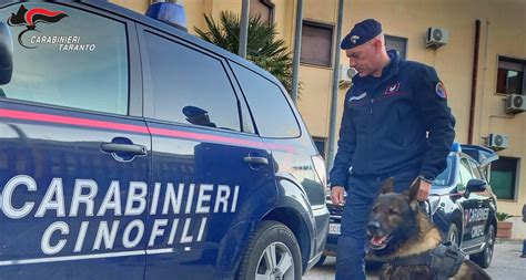 8 Arresti Eseguiti Dai Carabinieri Di Massafra Video Robexnews It