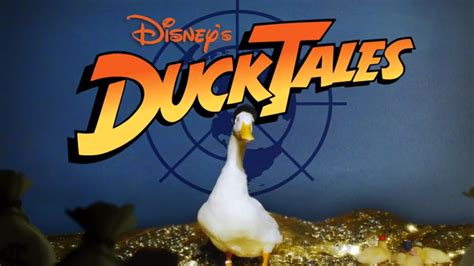 Ducktales Intro Gets Recreated With Actual Ducks ABC7 Chicago