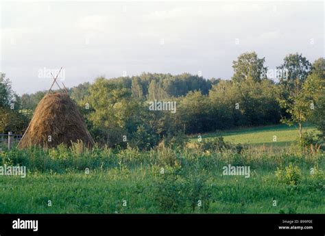 Landscape in the Vladimir Region Stock Photo - Alamy