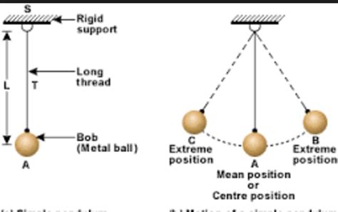 Amplitude, time-period and frequency of vibration | Class 8, Sound