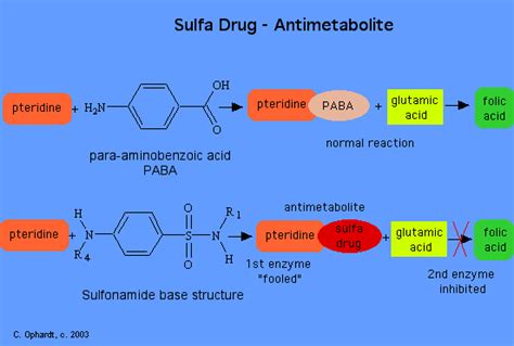 Sulfa based antibiotics list