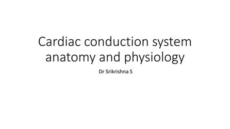 Cardiac Conduction System Pptx