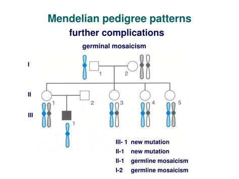 PPT - Lesson 2 Monogenic disorders Mendelian inheritance PowerPoint ...