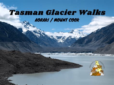 Tasman Glacier View Track + Tasman Lake And River Track - MeowtainPeople