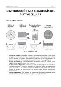 TEMA 6 CULTIVOS CELULARES INTRODUCCIÓN Ventajas y desven Apuntes de