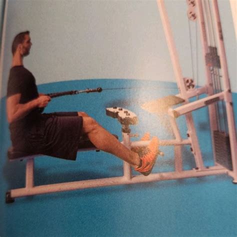 seated cable rope  jim  exercise   skimble