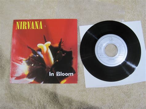 In Bloom Nirvana