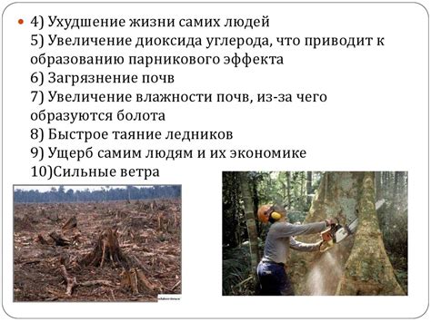 Вырубка лесов в Нижегородской области - презентация онлайн