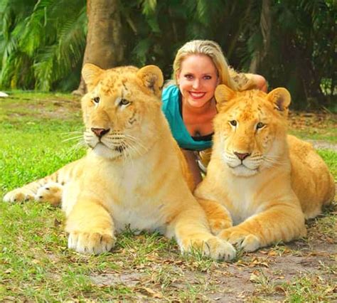 Myrtle Beach Safari The Liger Hub