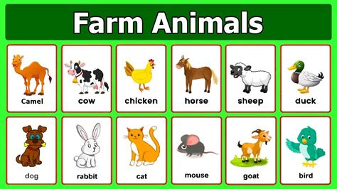 Livestock Animals List