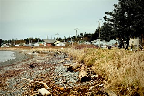 A Tale Of Old Massett And The Survivor Paradox — The Sealives Initiative