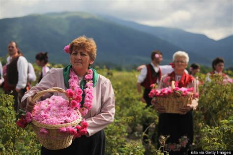 'Rose Valley' Exists In Bulgaria, And Here's Why You Should Visit ...