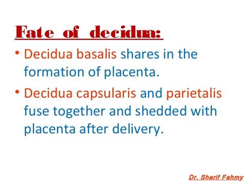 Decidua & Chorionic Velli (General Embryology)