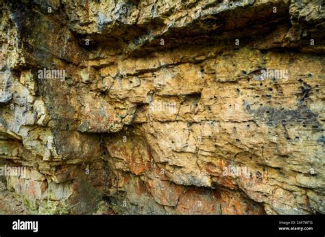 Rock Wall At Creswell Crags A Magnesian Limestone Gorge On The