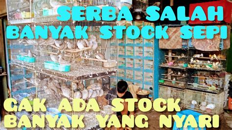 Serba Salah Stock Banyak Sepi Gak Ada Stock Banyak Yang Nyari Youtube