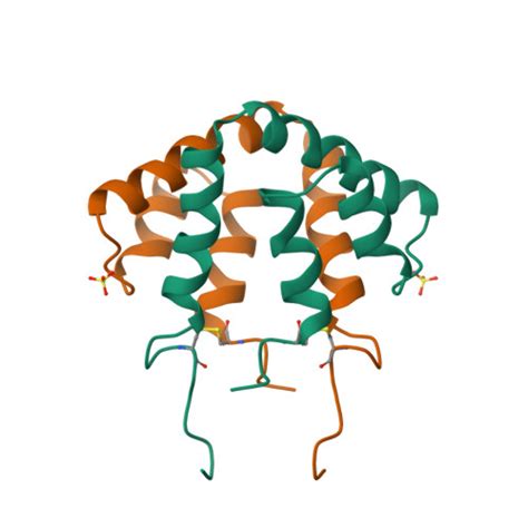 Rcsb Pdb Ccd Refined Structure Of Rat Clara Cell Kda Protein At