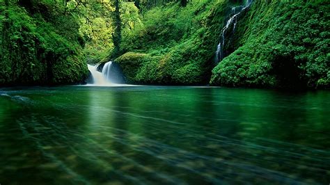 Waterfalls Pouring On River Between Green Trees Plants Bushes Hd Nature Wallpapers Hd