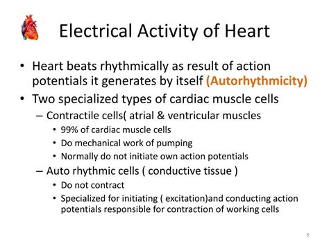 Ppt Electrophysiology Conduction System Of Heart Powerpoint