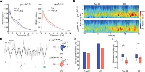 Bla Vh Inhibition At Extinction Learning Weakens Vh Neuronal