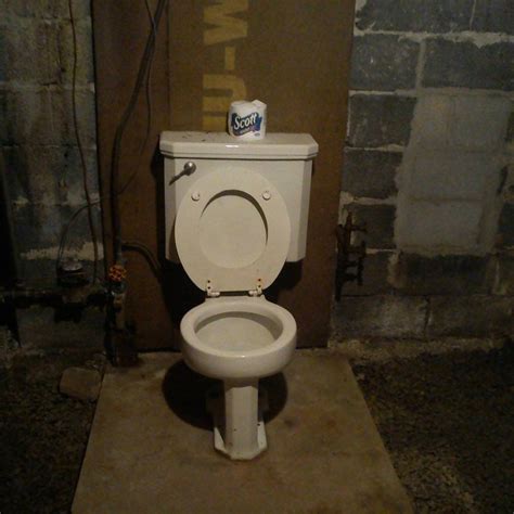 Here’s Why Old Houses Have a Random Toilet in the Basement | Basement ...