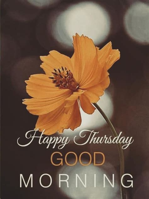 137 Best Good Morning Thursday Image Thursday Good Morning HD Pics