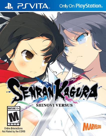 Senran Kagura Shinovi Versus Review Capsule Computers