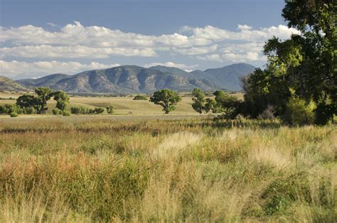 Southwest Grasslands Arizona Conservation Science