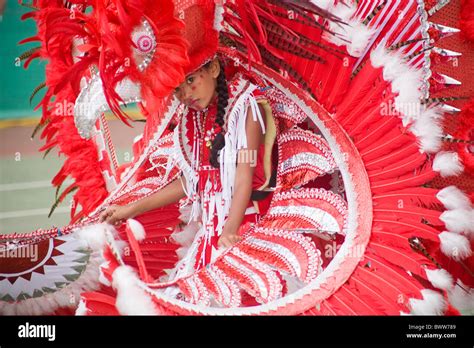 Indian Queen Costume