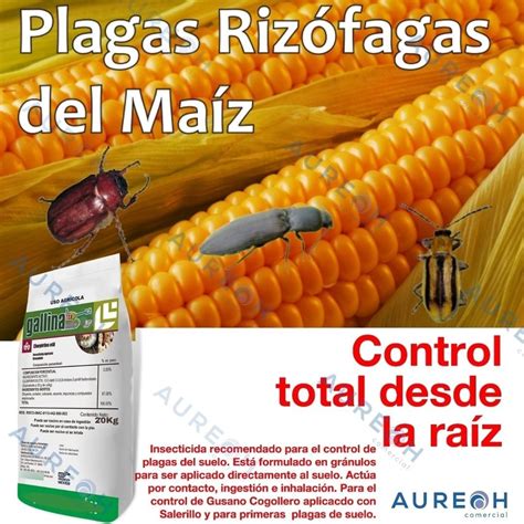 Insecticida Gallina Ciega Gusano De Alambre Gallinatox 5 Kg Aureoh