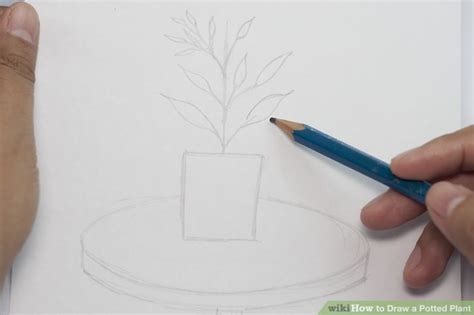 Plant In Pot Drawing At Paintingvalley Explore Collection Of