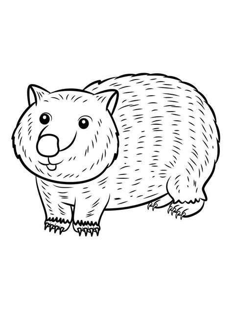 Wombat Coloring Page